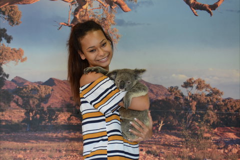 Kuranda Koala Gardens - Phillip Island Accommodation 0