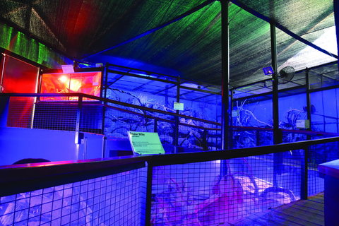 Kuranda Koala Gardens - Phillip Island Accommodation 2