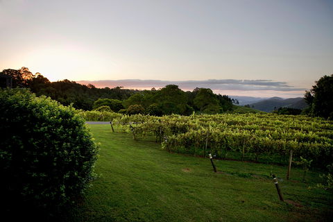 Montville - Phillip Island Accommodation 1