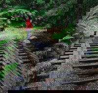 Montezuma Falls - Phillip Island Accommodation