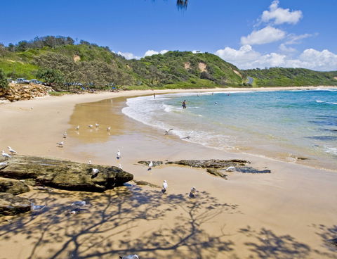 Nambucca Heads Beaches - Phillip Island Accommodation 0