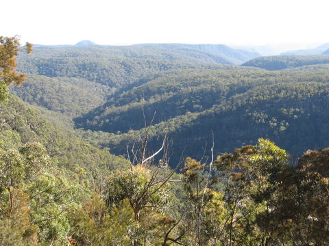Nattai Gorge Lookout - Phillip Island Accommodation 1