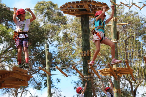 Next Level Monkey Business - Phillip Island Accommodation 0