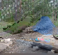 Northbrook Mountain Bush Camp - Phillip Island Accommodation