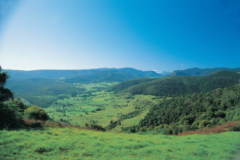Numinbah Section, Springbrook National Park - Phillip Island Accommodation 0