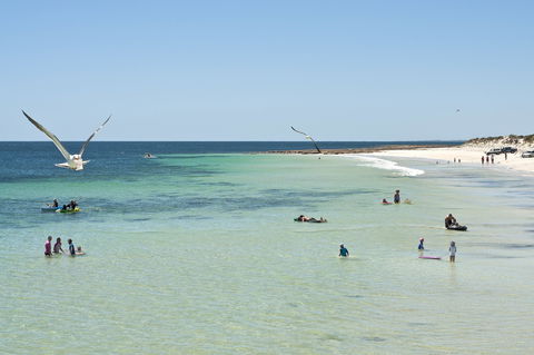 Port Rickaby - Phillip Island Accommodation 0