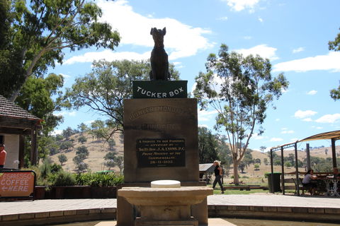 The Dog On The Tucker Box - Phillip Island Accommodation 2
