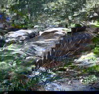 Washpools waterhole - Phillip Island Accommodation