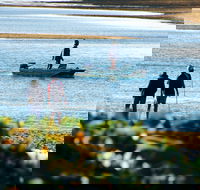 Ayr - Phillip Island Accommodation