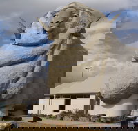 Big Merino - Phillip Island Accommodation