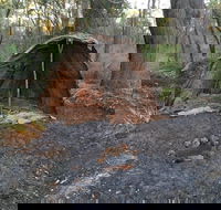 Bindjareb Cultural Park - Phillip Island Accommodation