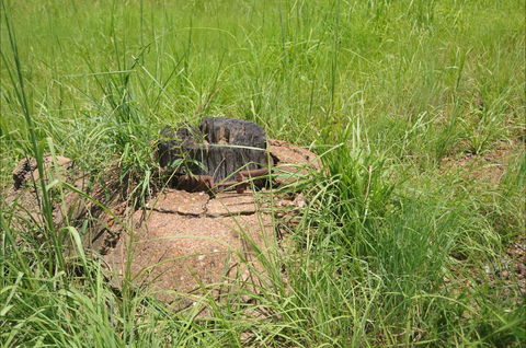 Brocks Creek Chinatown And Temple Site - Phillip Island Accommodation 0