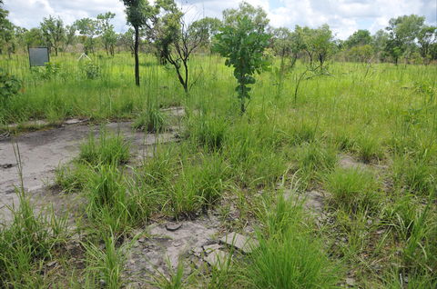 Brocks Creek Chinatown And Temple Site - Phillip Island Accommodation 2