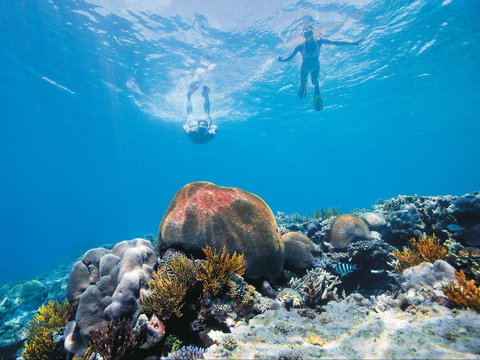 Capricorn Coast And Great Keppel Island Drive Itinerary - Phillip Island Accommodation 0