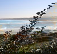 Cape Conran Coastal Park - Phillip Island Accommodation