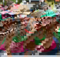 Chinchilla - Phillip Island Accommodation