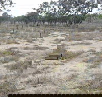 Culgoa Connellys Track - Phillip Island Accommodation