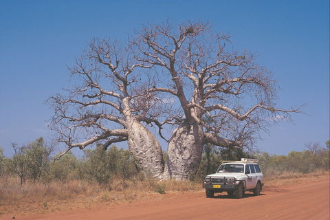 Gibb River Road - Phillip Island Accommodation 2