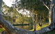 Goomburra - thumb 0
