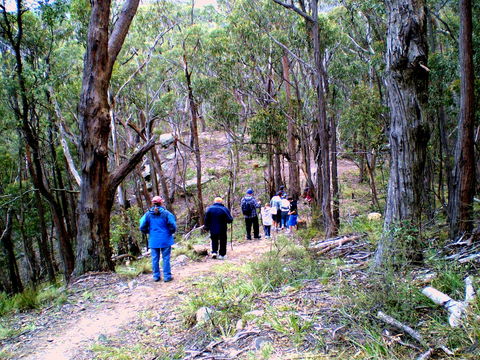 Greater Blue Mountains Heritage Trail - Phillip Island Accommodation 2