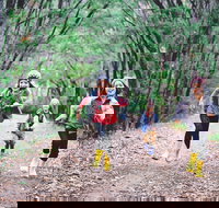 Margaret River Rails Trail - Phillip Island Accommodation