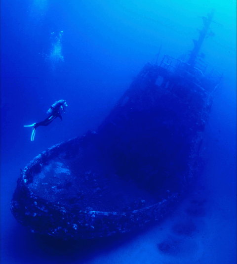 Merimbula Divers Lodge - Phillip Island Accommodation 0