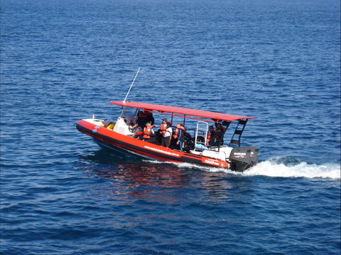 Merimbula Divers Lodge - Phillip Island Accommodation 1