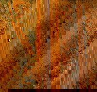 Newcastle Waters - Phillip Island Accommodation