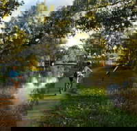 North Western Fishing Trail - Phillip Island Accommodation