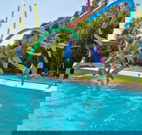 Oaklands War Memorial Swimming Pool - Phillip Island Accommodation
