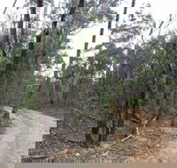 Paddys Ranges State Park - Phillip Island Accommodation