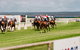 Port Lincoln Racing Club Inc - thumb 1