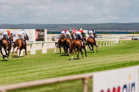 Port Lincoln Racing Club Inc - Phillip Island Accommodation 1