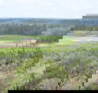 Princess Hills Girringun National Park - Phillip Island Accommodation