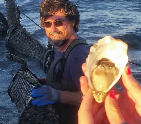 Southern Yorke Oysters - Phillip Island Accommodation 0