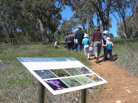 South Gundagai Woodlands Walk - Phillip Island Accommodation 0