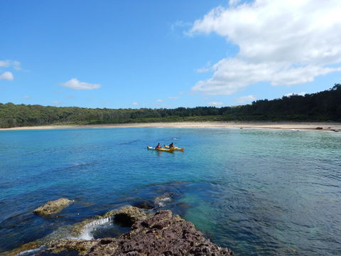 South Durras To Batemans Bay - Kayaking In The Batemans Marine Park - Phillip Island Accommodation 0