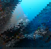 Twelve Apostles Marine National Park - Phillip Island Accommodation