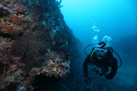 Twelve Apostles Marine National Park - Phillip Island Accommodation 0