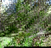 Tyers Park - Phillip Island Accommodation