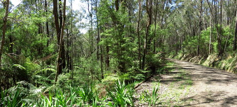 Tyers Park - Phillip Island Accommodation 0