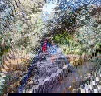 Yea Wetlands Walk - Phillip Island Accommodation