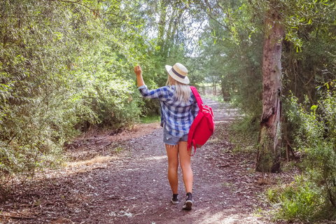 Yea Wetlands Walk - Phillip Island Accommodation 2