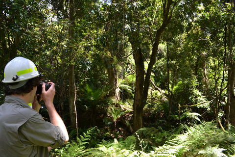 Alfred National Park - Phillip Island Accommodation 0