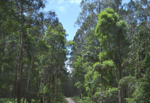 Alfred National Park - Phillip Island Accommodation 1