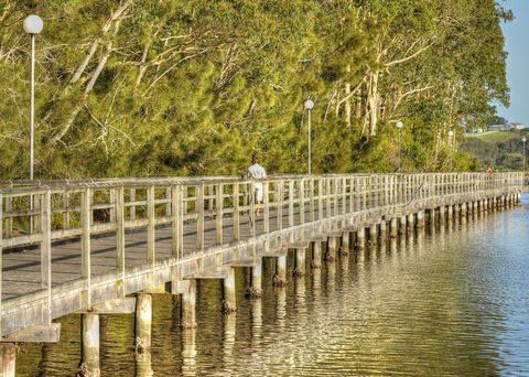 Apex Park Picnic Area Narooma - Phillip Island Accommodation 1