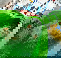 AquaPulse - Phillip Island Accommodation