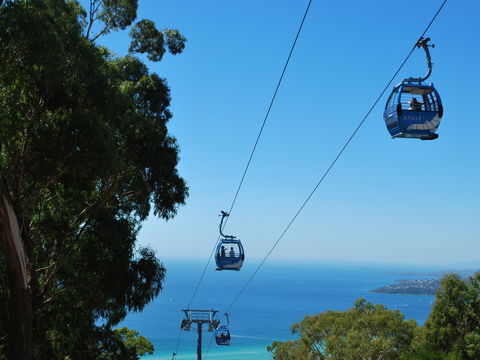 Arthurs Seat Eagle - Phillip Island Accommodation 0