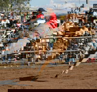 Coonamble - Phillip Island Accommodation