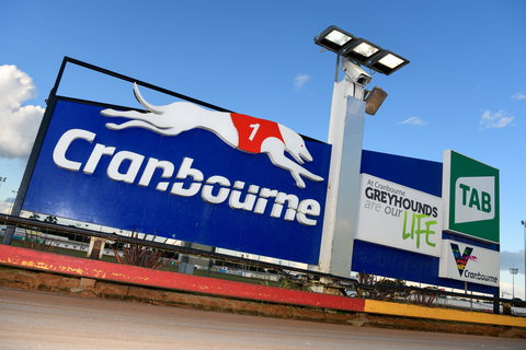 Cranbourne Greyhound Racing Club - Phillip Island Accommodation 0